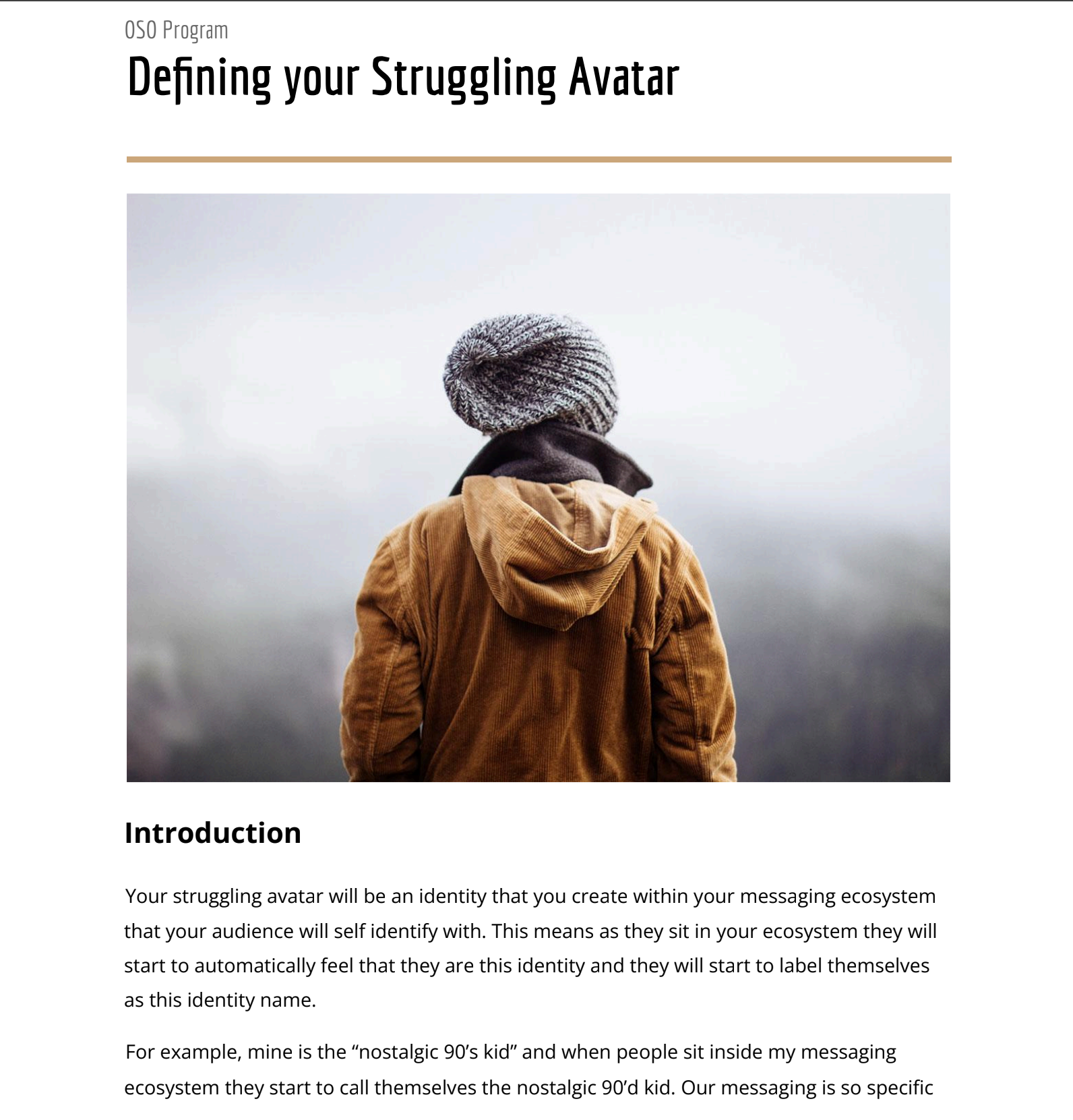 Nail Your Ideal Customer in 30 Minutes – Avatar Clarity Blueprint™ for Clothing Brands